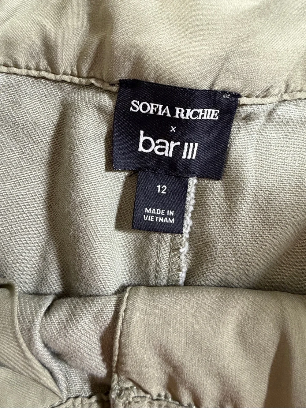 Bar III Women's Sofia Richie Pleated Wide Leg  Pants Sage Green Pockets Size 12
